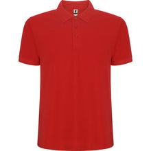 Carregar imagem no visualizador da galeria, 6609 Pegaso premium