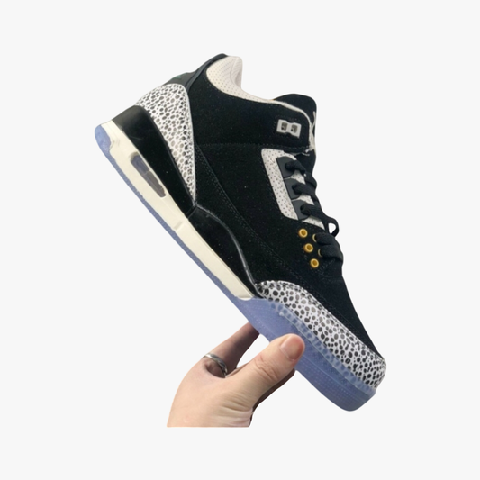 Air Jordan 3 Retro Atmos