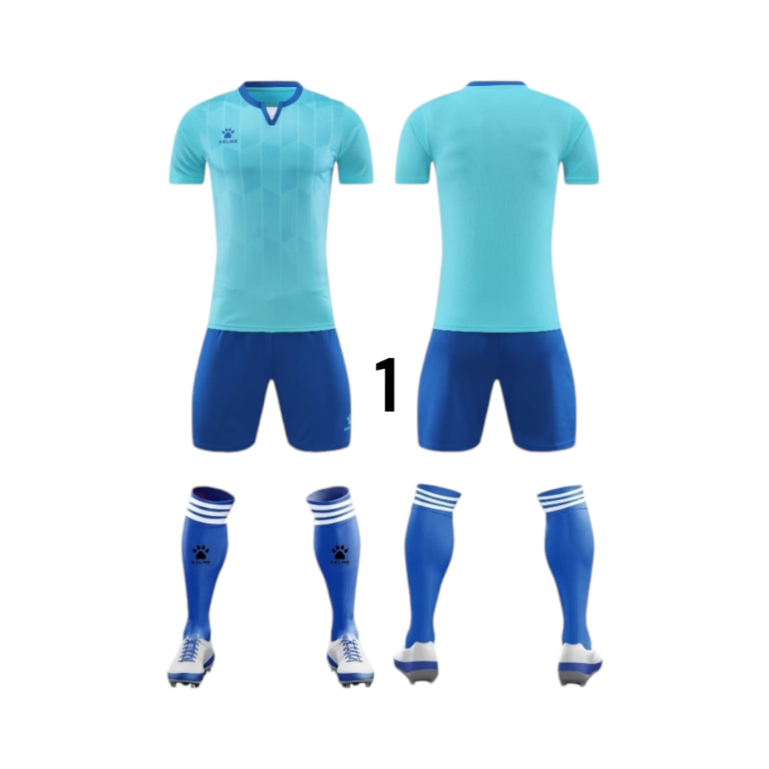 Ref. 1081