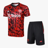 Manchester United - Conjunto de treino