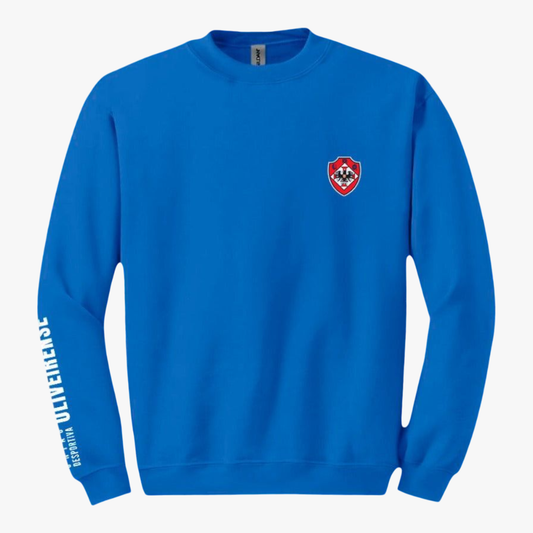 Oliveirense - Sweat-shirt - Azul