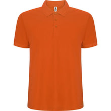 Carregar imagem no visualizador da galeria, 6609 Pegaso premium
