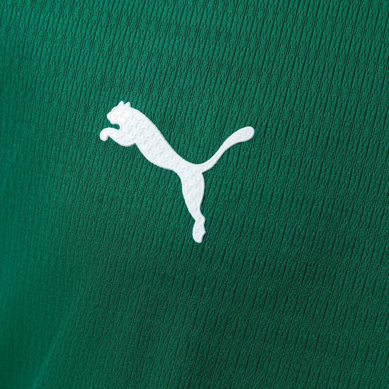 Camisola Palmeiras Versão Jogador 26/27