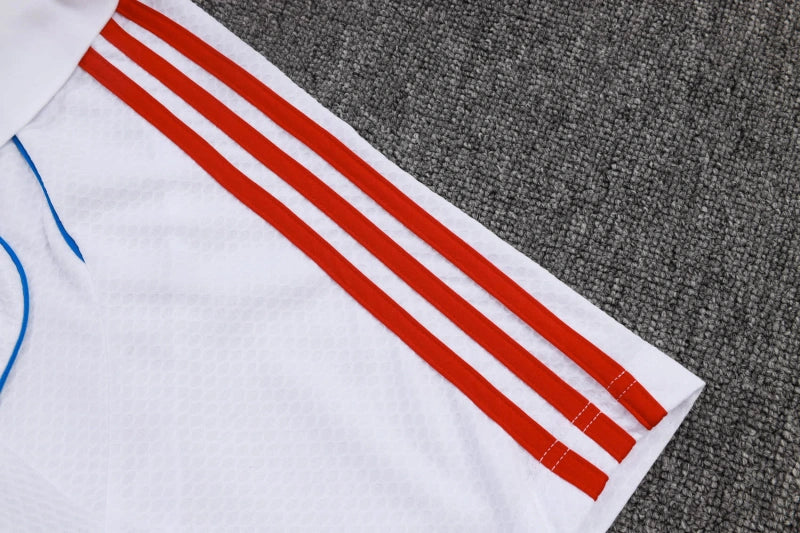 Bayern Munique - Kit Treinador 25/26