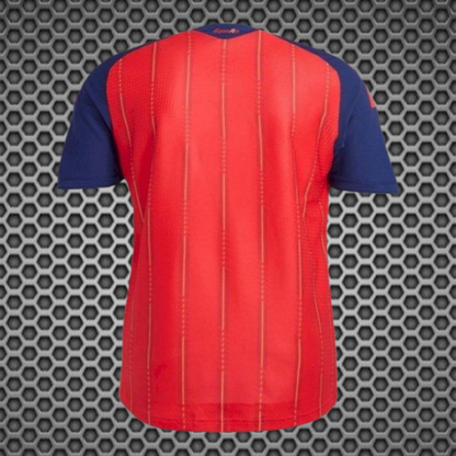 Espanha - Camisola 25/26