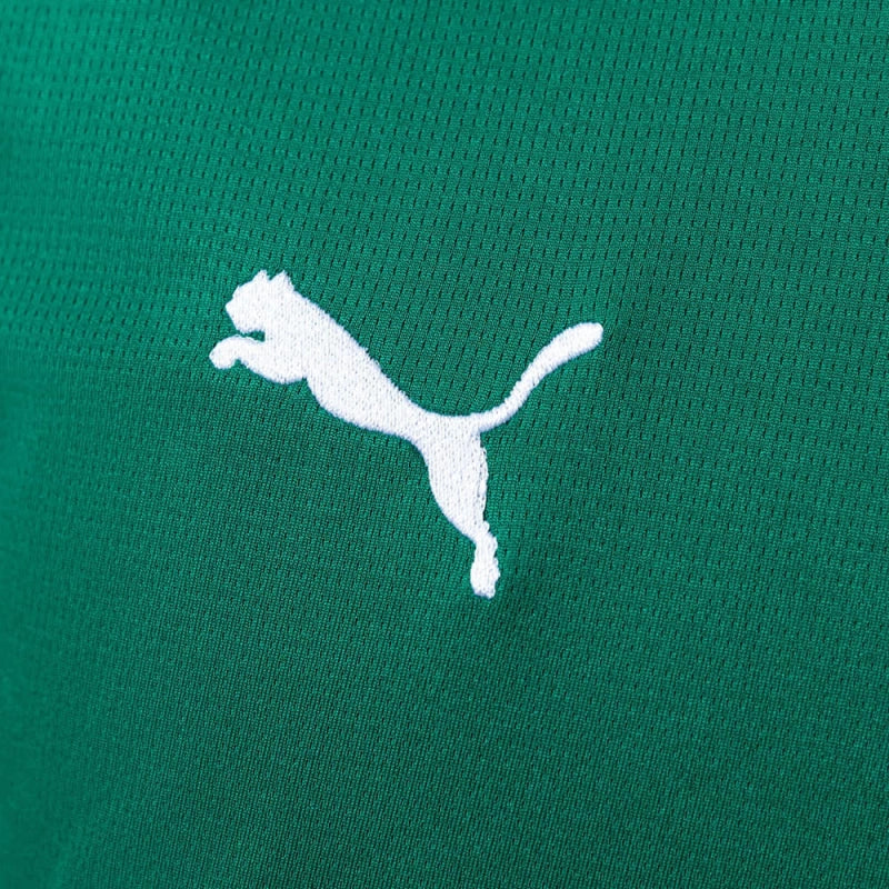 Camisola Palmeiras 26/27