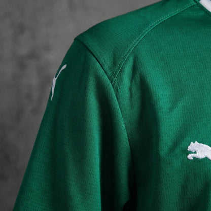 Kit Palmeiras 26/27
